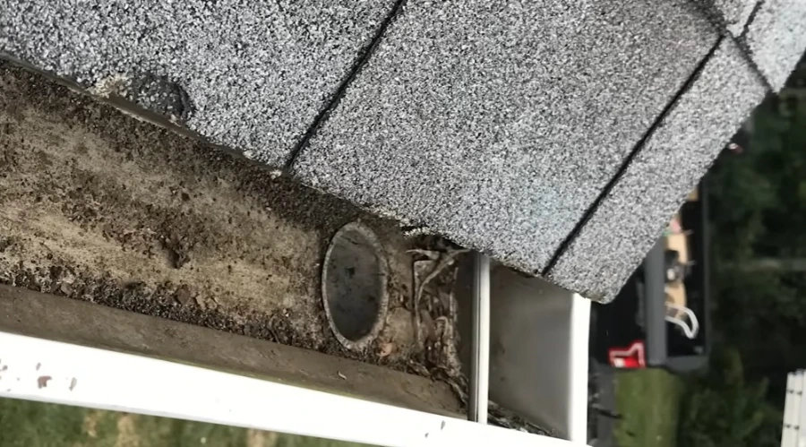Gutters after dry leaf removal in Roseville CA