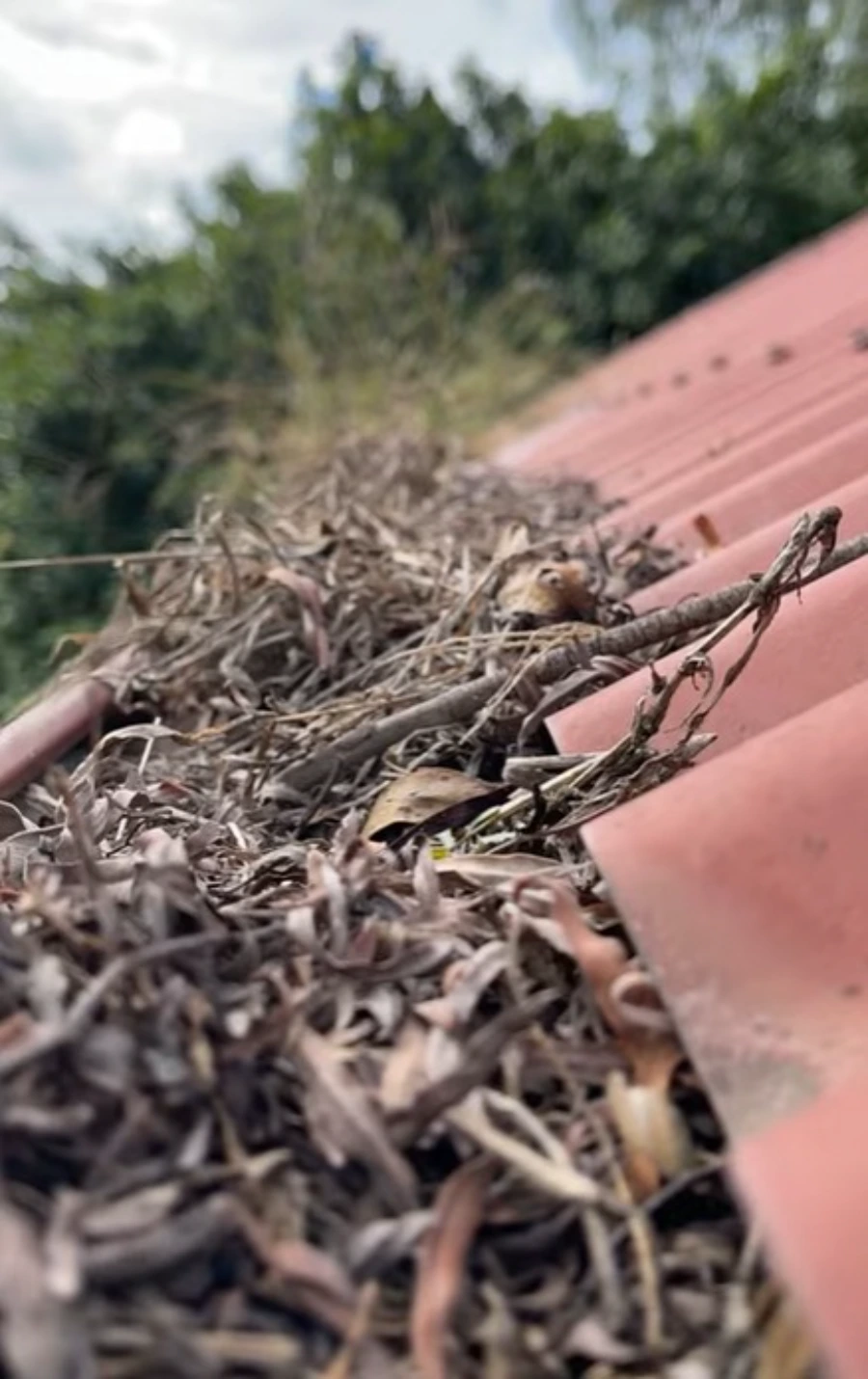 Hand clearing debris from gutters in Roseville CA