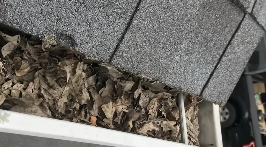 Dry leaf buildup in gutters before cleaning in Roseville