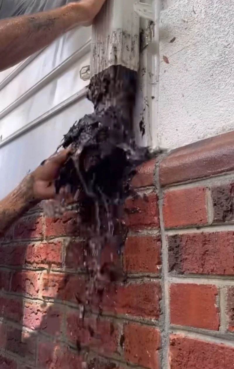 Heavy mud removal from gutters in Roseville heavy-tree neighborhood