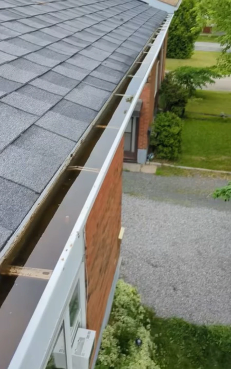 Gutter blocked by Valley Oak seed balls in Roseville