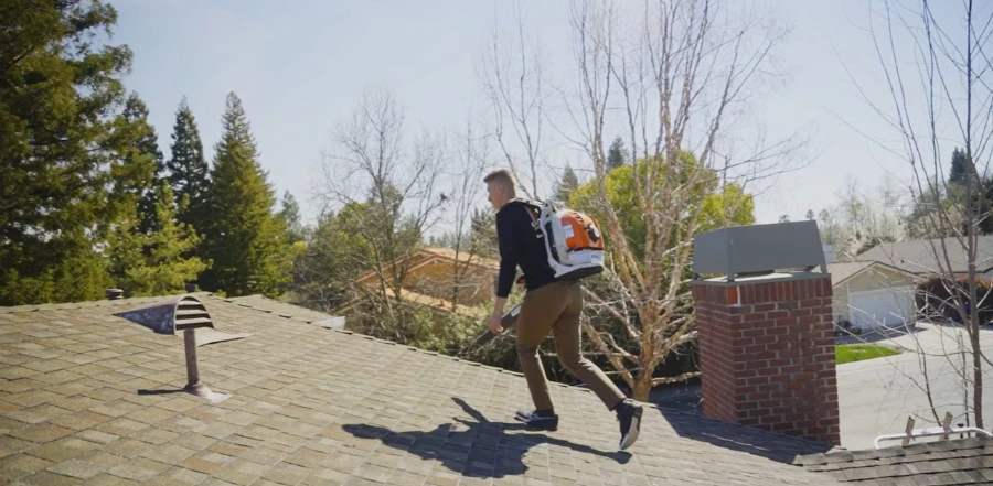 Clean gutters in standard Roseville tree coverage area